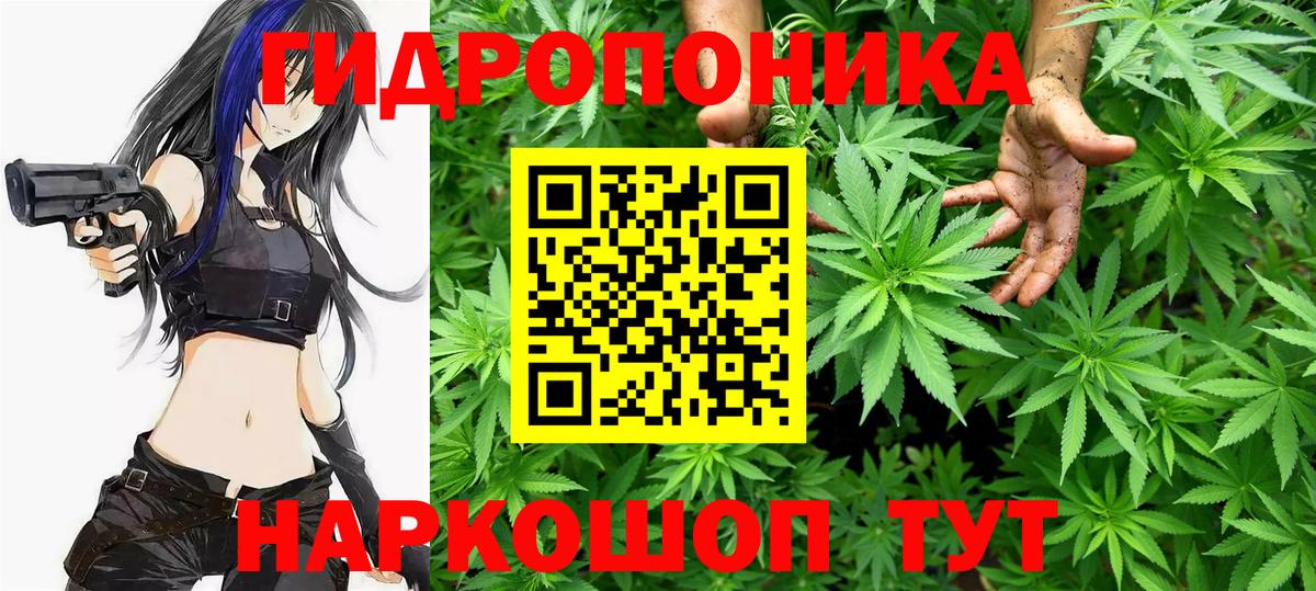 Бошки Шишки индика Коряжма